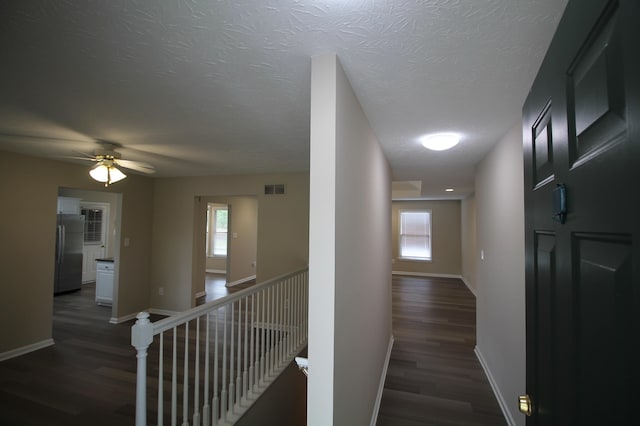 hall featuring dark hardwood / wood-style floors, a textured ceiling, and plenty of natural light