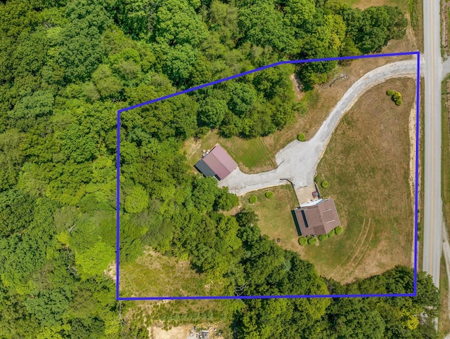 983 Short Town Rd, Liberty, KY 42539 - aerial view with a view of trees