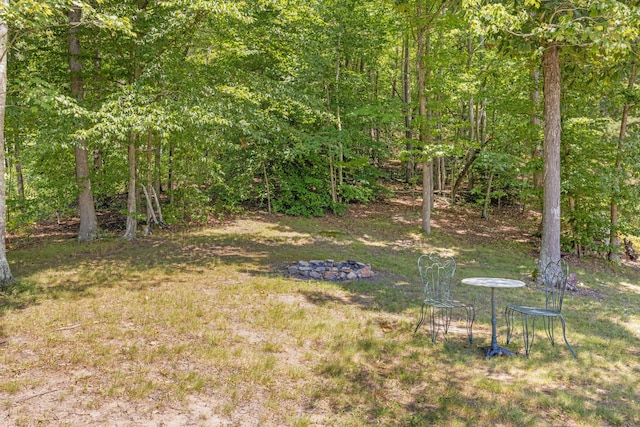 983 Short Town Rd, Liberty, KY 42539 - view of yard