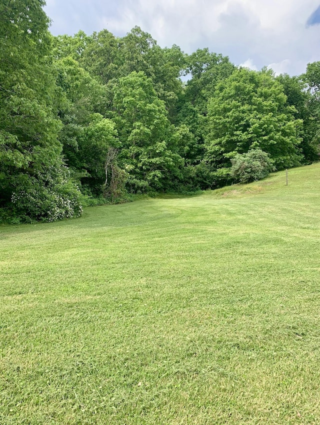 983 Short Town Rd, Liberty, KY 42539 - view of yard
