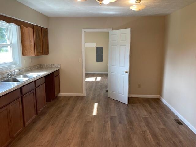 kitchen with wood-type flooring and sink