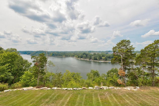 water view featuring a wooded view