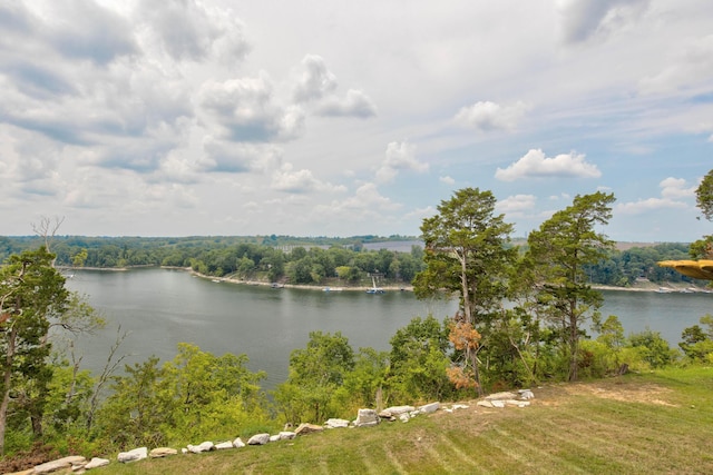 view of water feature featuring a view of trees