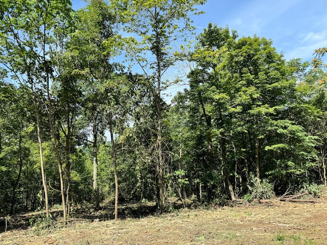 Listing photo 2 for LOT5 Spanns Ln, Somerset KY 42501