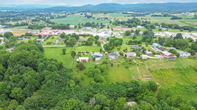 birds eye view of property with a mountain view