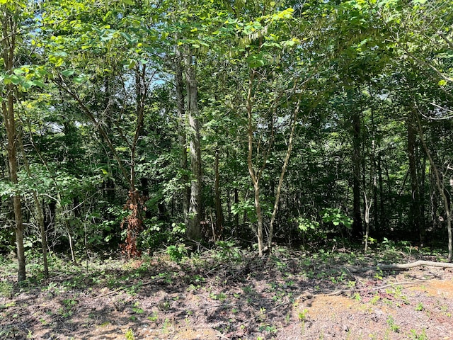 Listing photo 2 for LOT12 Spanns Ln, Somerset KY 42501