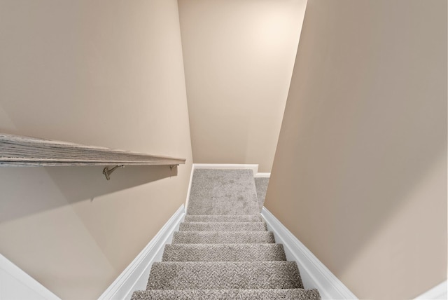 staircase featuring carpet floors