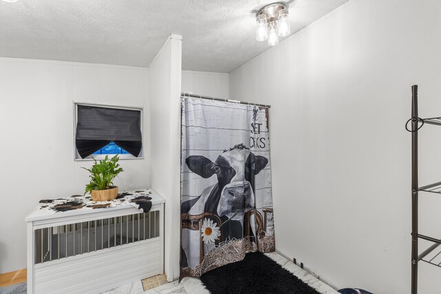 interior space with a textured ceiling