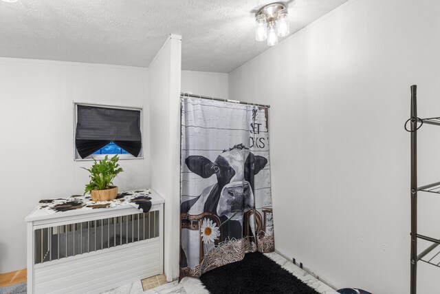 4743 Shoemaker Rdg, Zoe, KY 41397 - bathroom with curtained shower and a textured ceiling