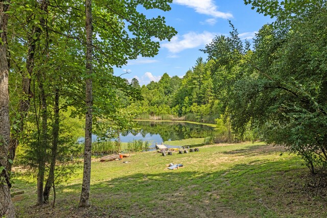 4743 Shoemaker Rdg, Zoe, KY 41397 - view of home's community with a lawn and a water view