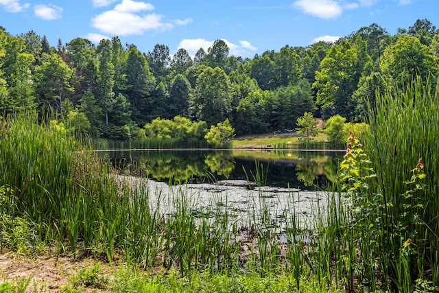 4743 Shoemaker Rdg, Zoe, KY 41397 - water view with a wooded view