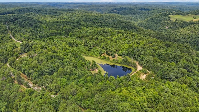 4743 Shoemaker Rdg, Zoe, KY 41397 - aerial view featuring a water view and a forest view
