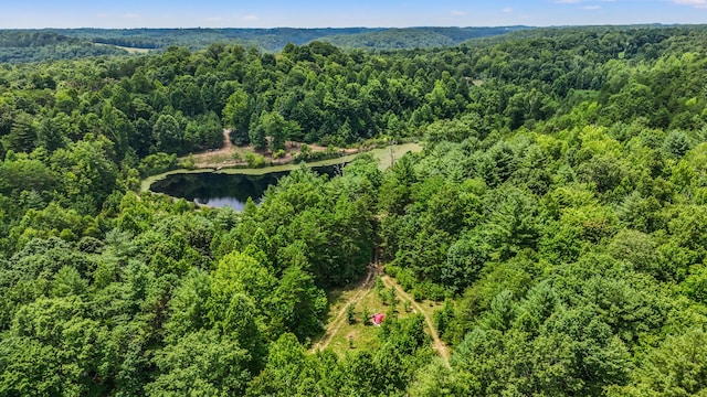 4743 Shoemaker Rdg, Zoe, KY 41397 - aerial view featuring a water view and a view of trees