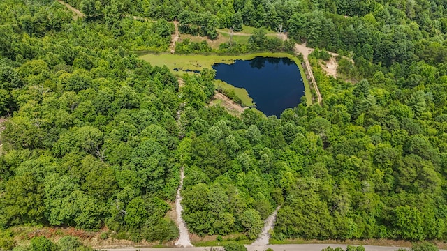 4743 Shoemaker Rdg, Zoe, KY 41397 - bird's eye view with a water view and a view of trees