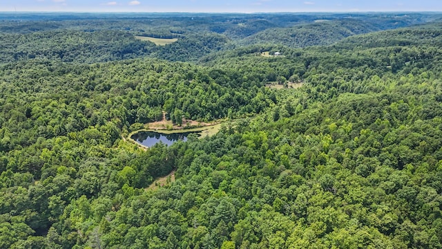 4743 Shoemaker Rdg, Zoe, KY 41397 - birds eye view of property featuring a water view and a view of trees