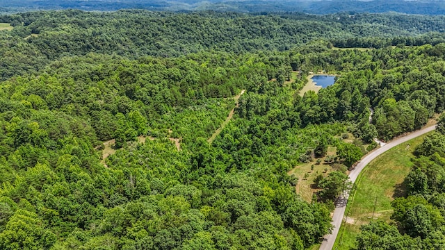 4743 Shoemaker Rdg, Zoe, KY 41397 - birds eye view of property featuring a wooded view and a water view