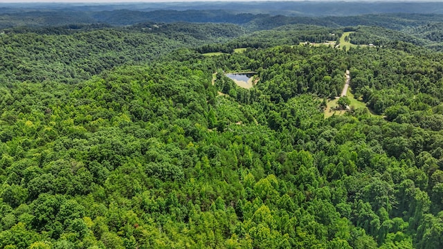 4743 Shoemaker Rdg, Zoe, KY 41397 - aerial view with a view of trees