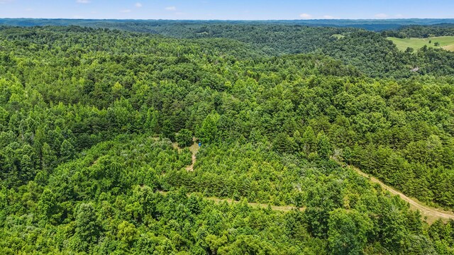 4743 Shoemaker Rdg, Zoe, KY 41397 - aerial view featuring a view of trees