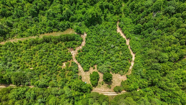 4743 Shoemaker Rdg, Zoe, KY 41397 - aerial view with a forest view