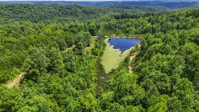 4743 Shoemaker Rdg, Zoe, KY 41397 - bird's eye view featuring a water view and a view of trees