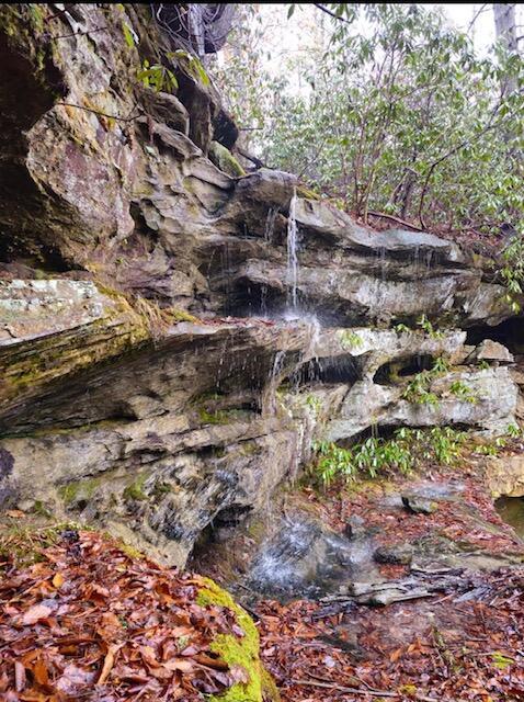 4743 Shoemaker Rdg, Zoe, KY 41397 - view of nature