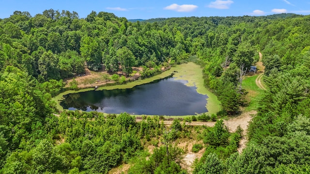 4743 Shoemaker Rdg, Zoe, KY 41397 - birds eye view of property featuring a water view and a view of trees