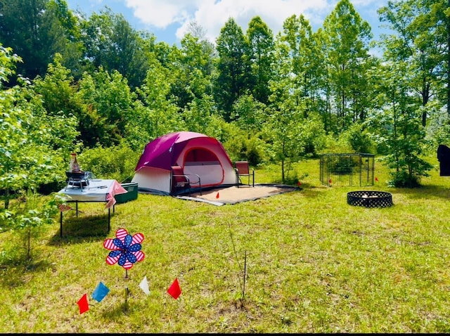 view of yard with a patio area and an outdoor fire pit