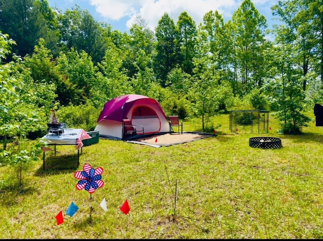 4743 Shoemaker Rdg, Zoe, KY 41397 - view of yard with an outdoor fire pit
