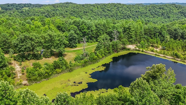 4743 Shoemaker Rdg, Zoe, KY 41397 - bird's eye view featuring a water view and a view of trees