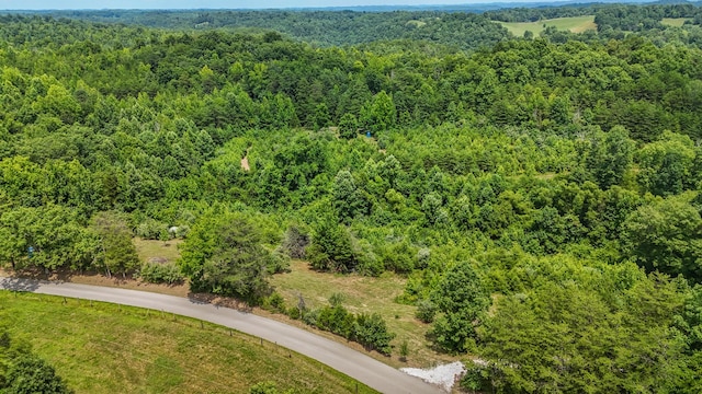 4743 Shoemaker Rdg, Zoe, KY 41397 - aerial view featuring a view of trees