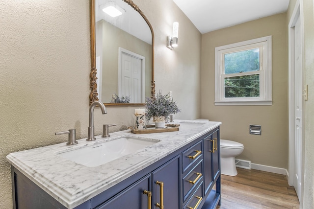 bathroom with toilet, wood-type flooring, and vanity