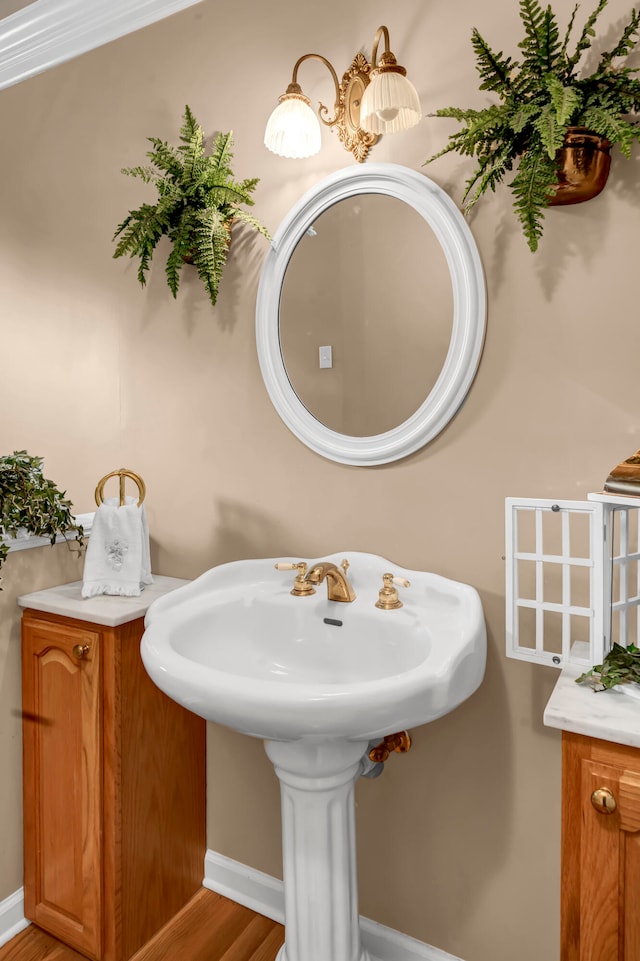 bathroom with hardwood / wood-style floors