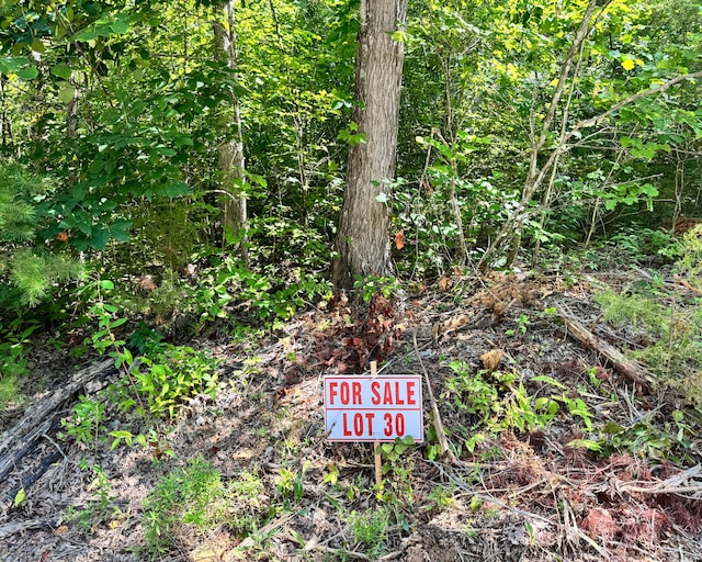 LOT30 Spanns Ln, Somerset KY, 42501 land for sale