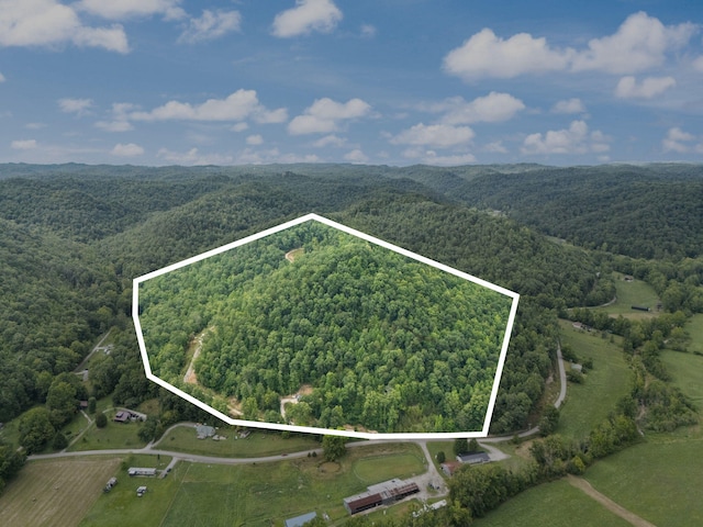 drone / aerial view with a wooded view
