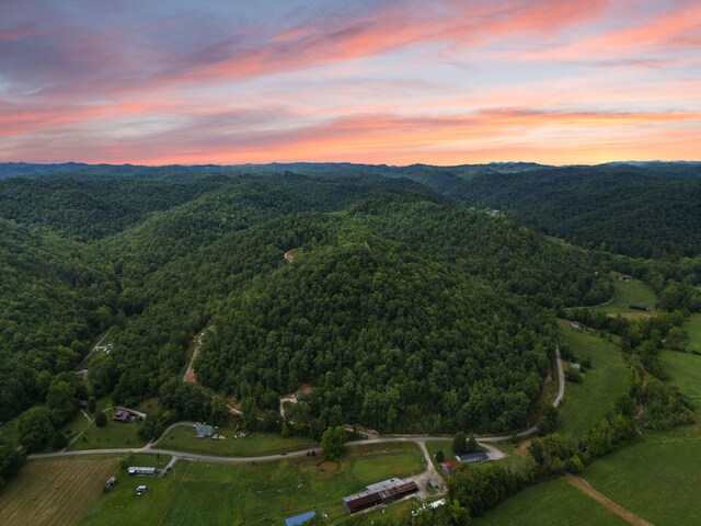 birds eye view of property with a mountain view and a forest view