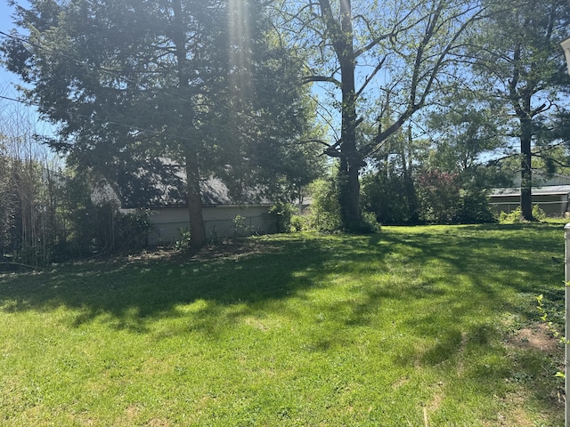 view of yard