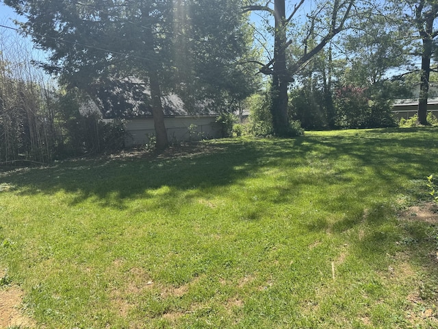 view of yard