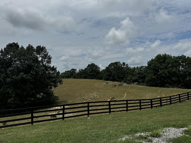 view of yard with a rural view