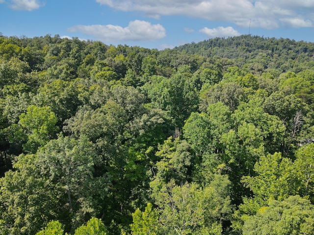 LOT25 Hunter Ln, Somerset KY, 42503 land for sale