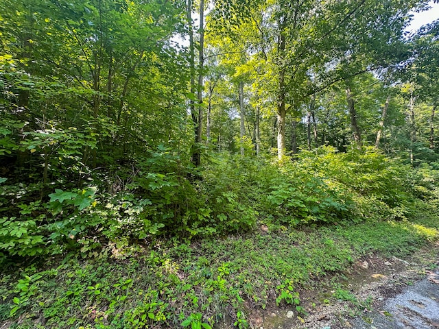 Listing photo 3 for LOT25 Hunter Ln, Somerset KY 42503