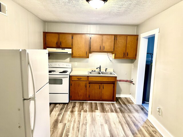 kitchen with sink, light hardwood / wood-style flooring, a textured ceiling, and white appliances