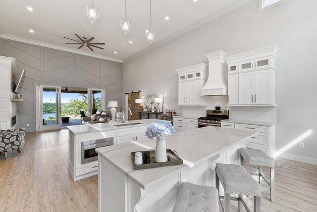 kitchen with sink, appliances with stainless steel finishes, light wood-type flooring, and custom range hood