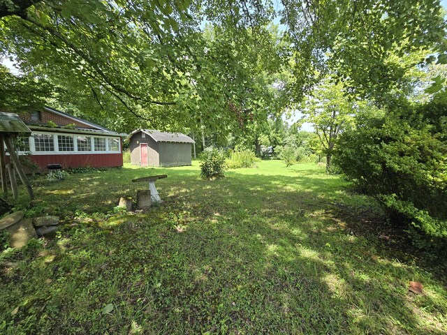 view of yard with a storage unit