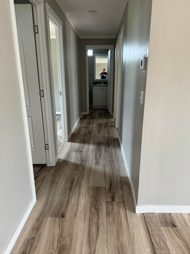 kitchen featuring hardwood / wood-style floors, stainless steel appliances, white cabinetry, and wall chimney exhaust hood