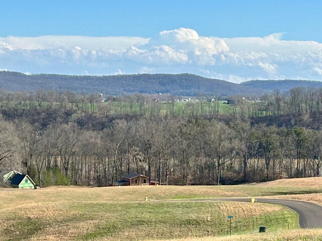 TRACT2 Kimber Dr, Nancy, KY 42544