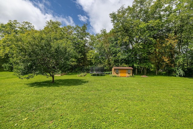 view of yard with a trampoline, a storage unit, and an outdoor structure