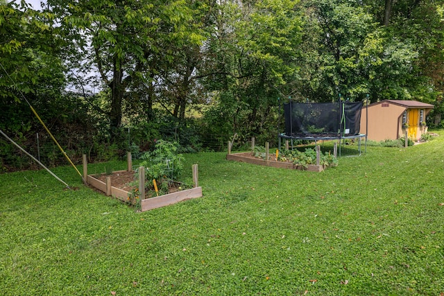 view of yard with a storage shed, a trampoline, an outdoor structure, and a vegetable garden