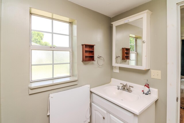 bathroom with vanity and a healthy amount of sunlight