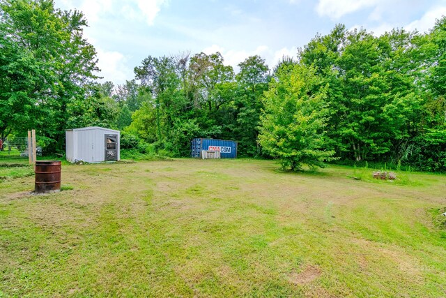 view of yard with a storage unit