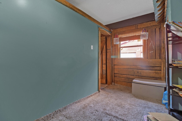 interior space featuring wood walls